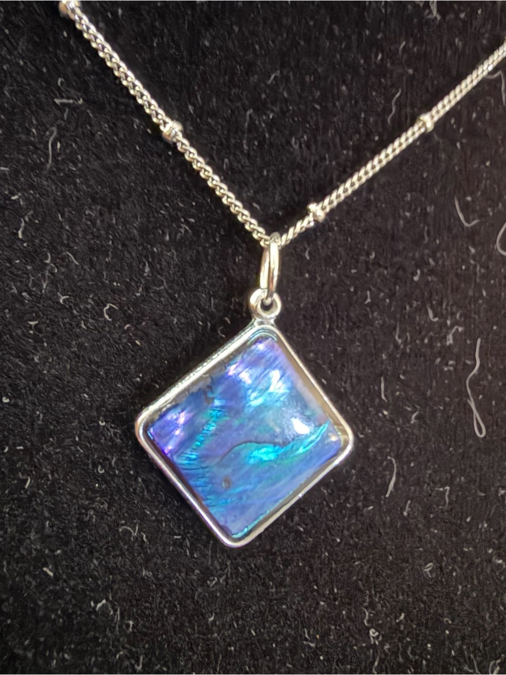 Polished shell pendant on 15” chain